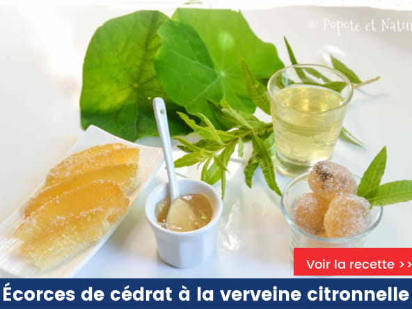 Ecorces de cédrat confites, confit à la verveine citronnelle, des pâtes de fruits, et sirop